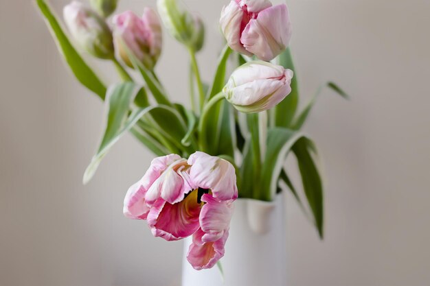 Ramo de flores de tulipán rosa con tallos verdes frescos en un jarrón de porcelana blanca sobre un fondo de pared blanca Idea de decoración floral botánica colorida vibrante para el hogar