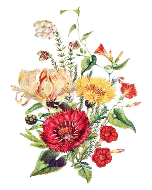Ramo de flores vintage con fondo transparente