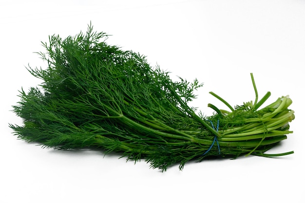 Ramo fresco de eneldo con hojas verdes vibrantes perfecto para uso culinario y para adornar platos