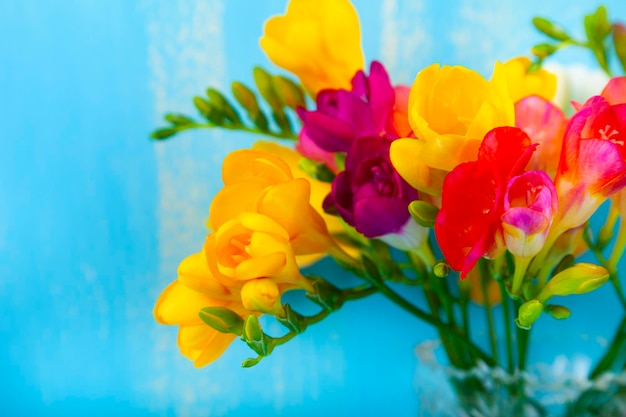 Ramo de fresias multicolores sobre fondo azul. Hermosas flores.