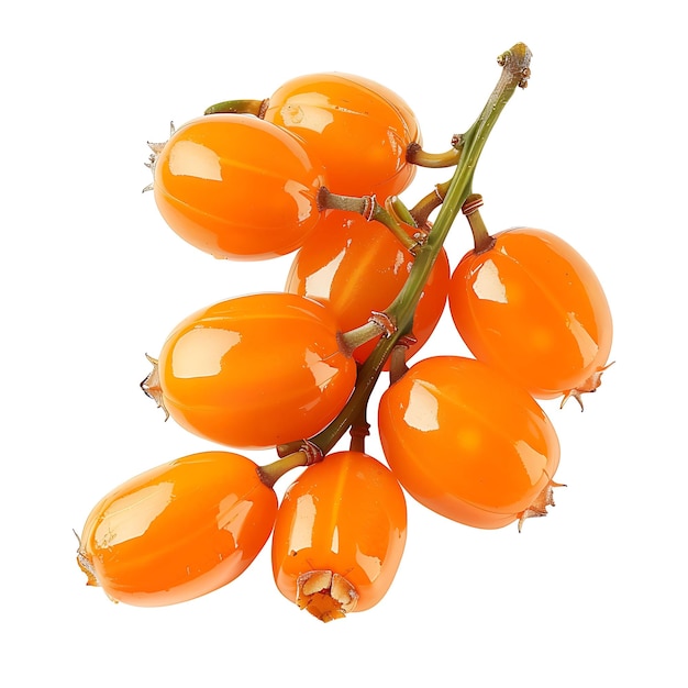 Foto un ramo de frutas de naranja con la palabra 