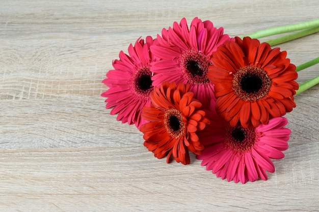 Foto el ramo de gerbera florece en el primer gris de madera del fondo. bonito regalo para celebrar cualquier día festivo.