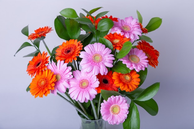 Ramo de gerberas. Gerbera rosada, anaranjada y roja en un florero. Enhorabuena, fiesta, presente.