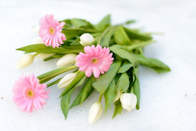 un ramo de gerberas rosas y tulipanes blancos yace en la nieve