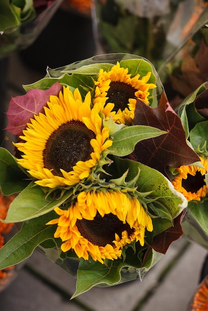 Un ramo con girasoles brillantes listos para la venta en los agricultores del mercado abierto local