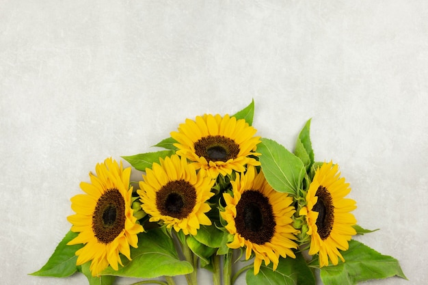 Ramo de girasoles sobre fondo de hormigón gris. San Valentín, mujeres, día de la madre, pascua, cumpleaños o boda, plano de vacaciones de primavera. Vista superior. Copie el espacio.