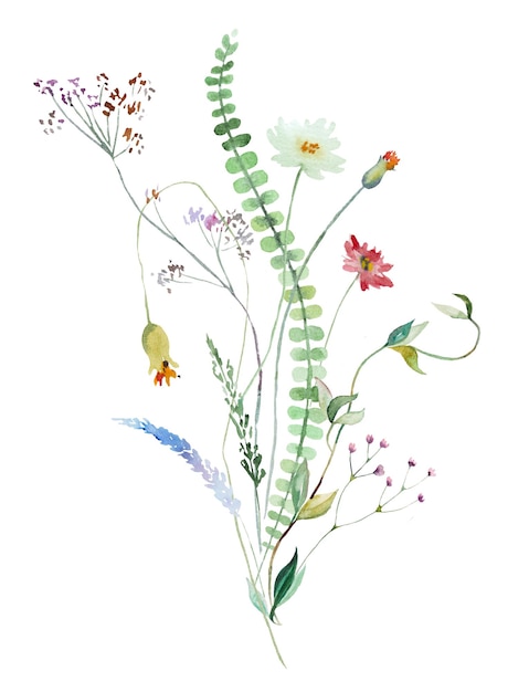 Ramo hecho de flores silvestres a la acuarela y hojas ilustración de boda y saludo
