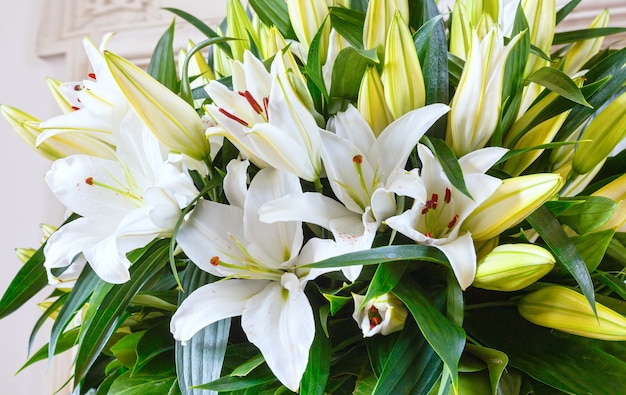 Ramo de hermosas flores blancas de Amaryllis