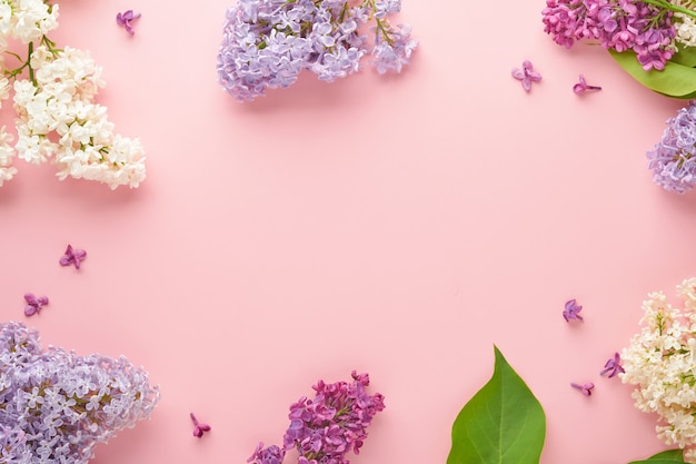 Ramo de hermosas lilas blancas y moradas sobre fondo rosa. Vista superior. Tarjeta de felicitación festiva con peonía para bodas, feliz día de la mujer, día de San Valentín y día de la madre.