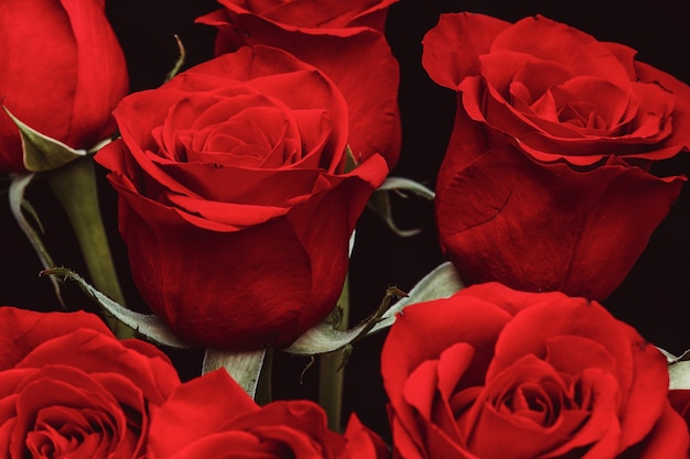 Ramo de hermosas rosas rojas sobre un fondo negro