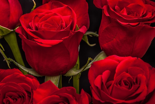 Ramo de hermosas rosas rojas sobre un fondo negro