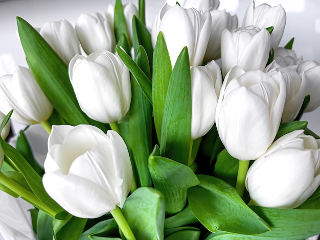 Ramo de hermosos tulipanes blancos de cerca