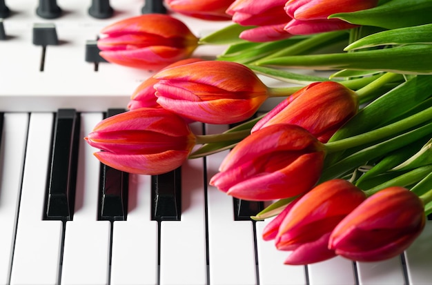 Un ramo de hermosos tulipanes rosados en las teclas del piano concepto de primavera fondo musical