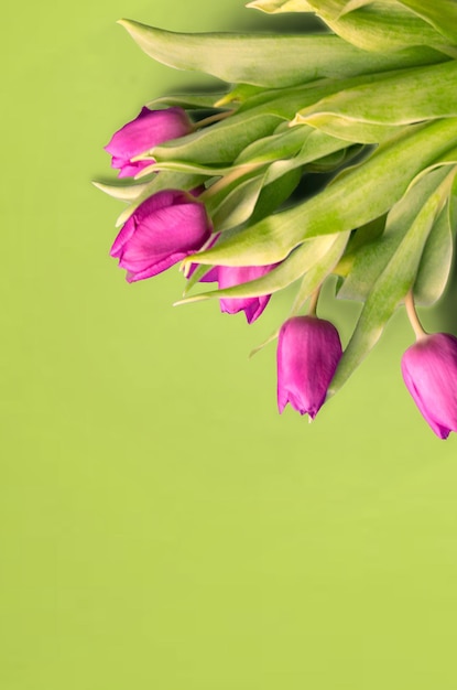 Ramo de hermosos tulipanes sobre un fondo de madera tulipanes sobre viejas tablas
