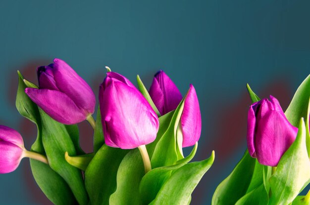 Ramo de hermosos tulipanes sobre un fondo de madera tulipanes sobre viejas tablas