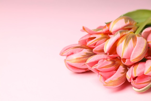 Ramo de hermosos tulipanes sobre fondo rosa