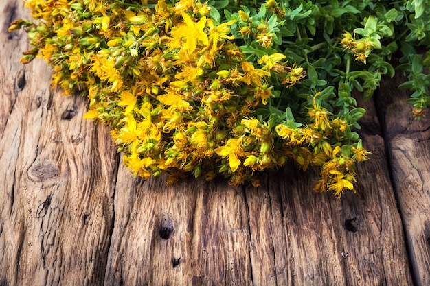 Ramo de hierbas medicinales en flor