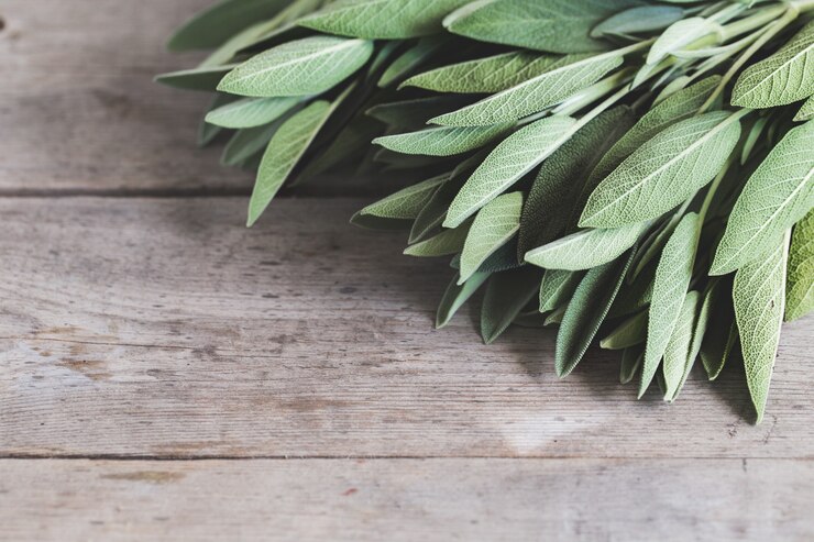 Foto ramo de hojas de salvia en mesa
