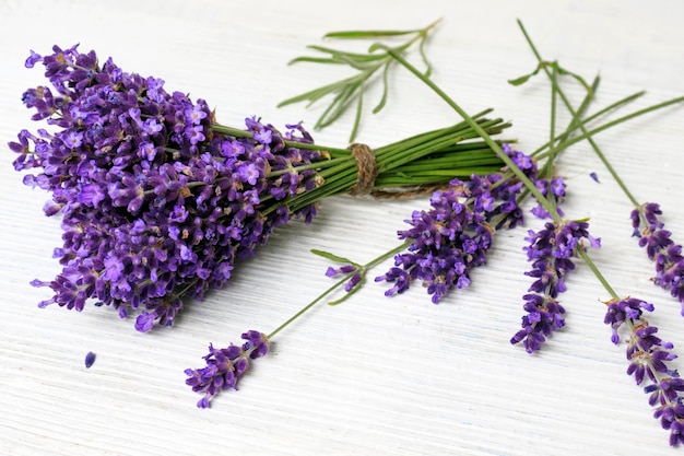 Ramo de lavanda fresca sobre un fondo blanco de madera con espacio para texto