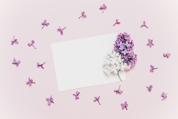 Foto ramo lilás bonito e cartão branco do modelo no fundo cor-de-rosa.