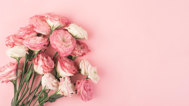 ramo de lisianthus rosa sobre un fondo rosa