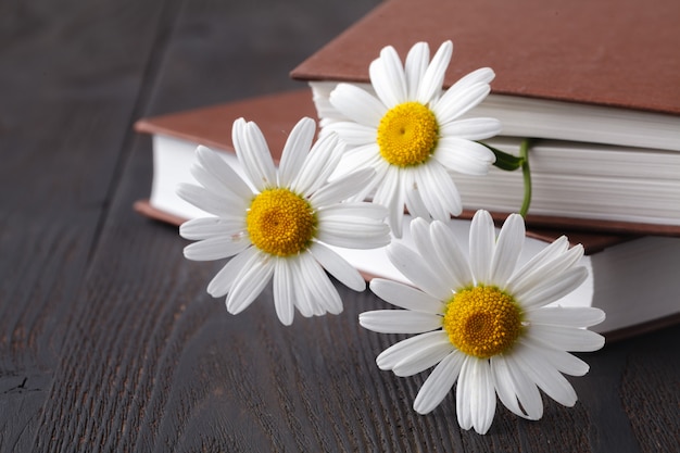 Ramo de margaritas blancas en libro viejo