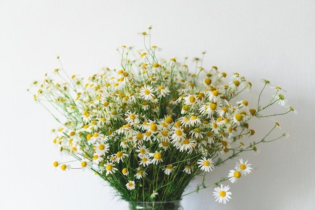 Un ramo de margaritas en un jarrón de cristal blanco sobre una mesa blanca flores para el cumpleaños de la abuela para el día de la mujer flores en un interior blanco