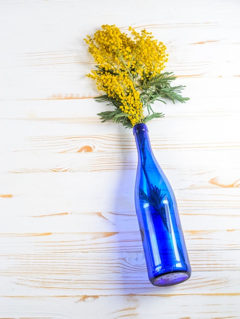 Ramo de mimosa en una botella de vidrio azul