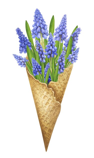 Foto ramo de muscari acuarela en un cono de gofre ilustración de jardín de primavera dibujada a mano aislada