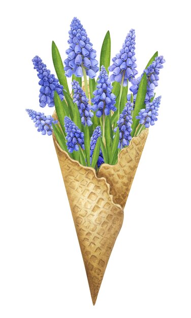 Ramo de muscari acuarela en un cono de gofre Ilustración de jardín de primavera dibujada a mano aislada