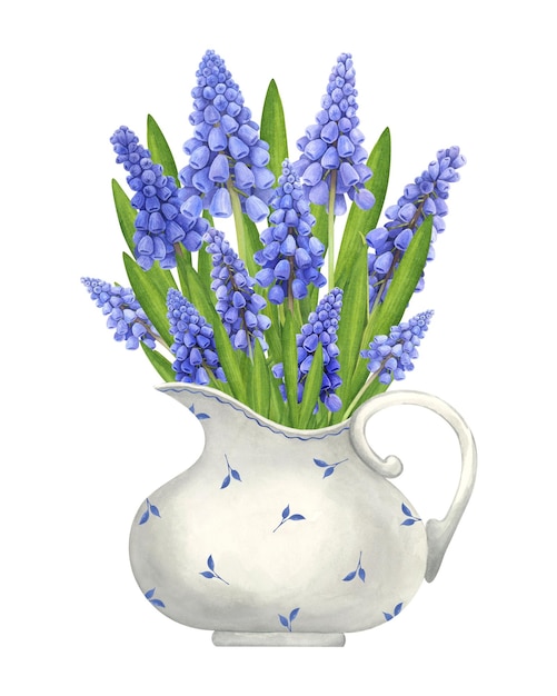 Foto ramo de muscari acuarela en una jarra de porcelana vintage ilustración de flores dibujadas a mano aislada