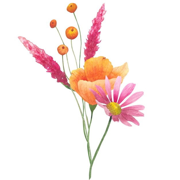 ramo con naranja Acuarela amapolas de california flores secas y flores cosmos aisladas en Pentecostés