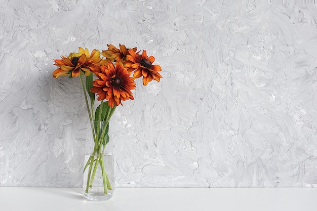 El ramo de naranja florece coneflowers en florero en la tabla contra la pared gris. Copia espacio estilo minimalista