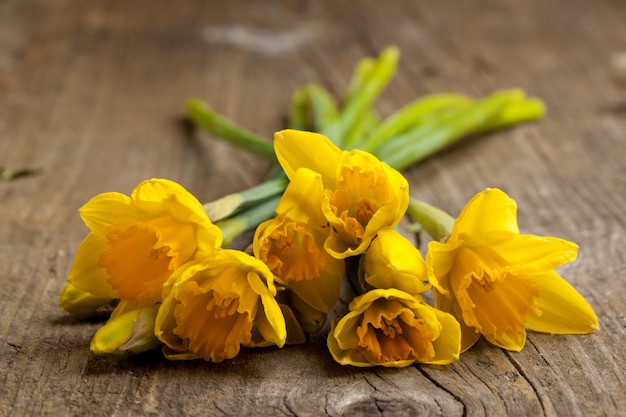 Ramo de narcisos amarillos