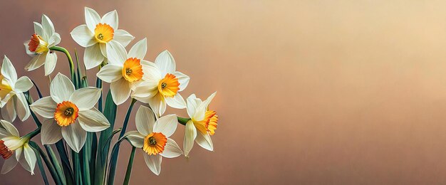 Ramo de narcisos blancos desde la izquierda