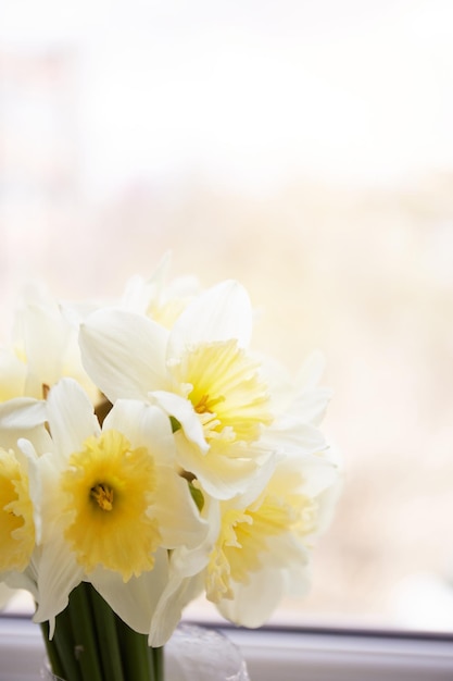 Ramo de narcisos Flores de narciso amarillo primaveral en jarrón de cristal