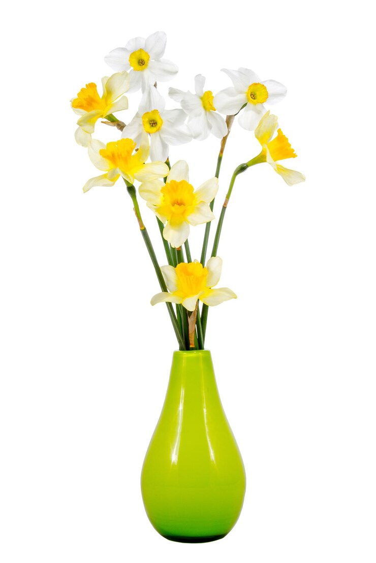 Foto ramo de narcisos sobre un fondo blanco.