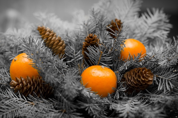 Ramo de Navidad de ramas de abeto, mandarinas y conos. Año nuevo. Monocromo