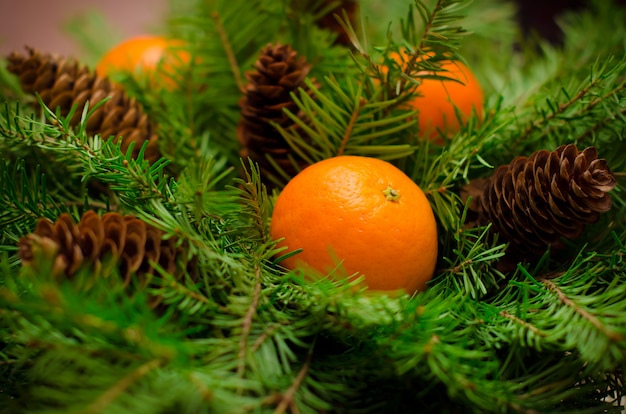 Ramo de Navidad de ramas de abeto, mandarinas y conos. Año nuevo