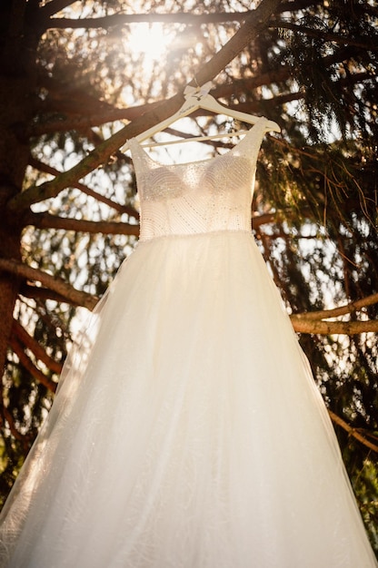 Ramo de novia en el árbol fuera de la novia con un vestido beige sostiene las flores ramo de flores y vegetación