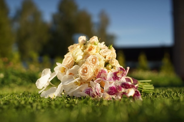 Ramo de novia de rosas y orquídeas tumbado en el césped bajo el sol poniente Plan medio