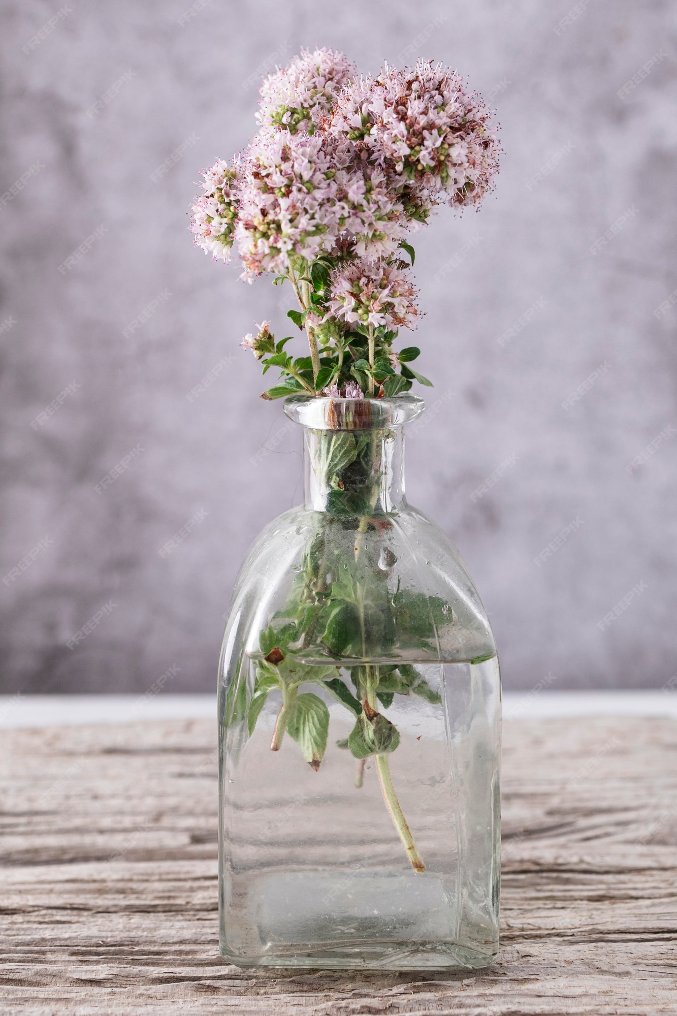 Ramo orégano floreciente en un jarrón | Premium