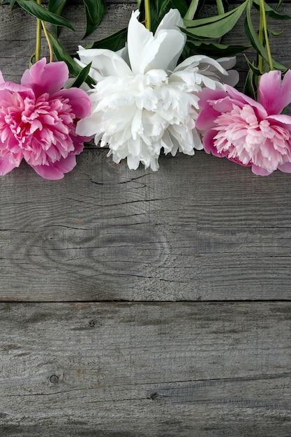 Un ramo de peonía en flor rosa y blanca en la superficie de las viejas tablas con textura