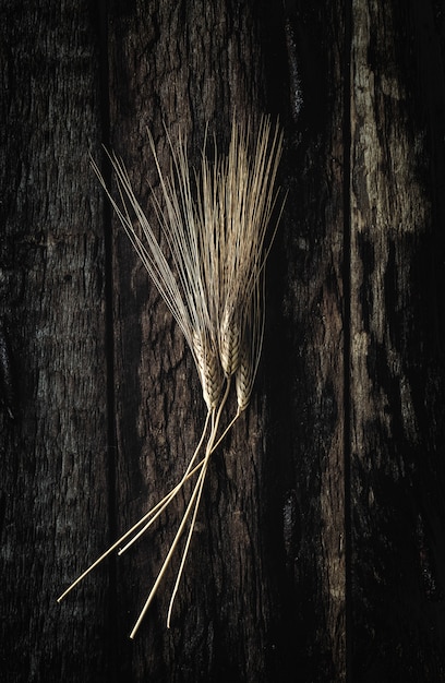 Ramo de picos de oro sobre fondo oscuro.