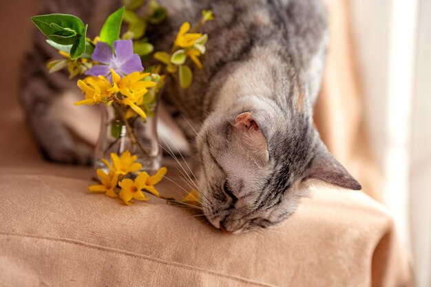 Ramo primaveral de flores frescas y gatito curioso