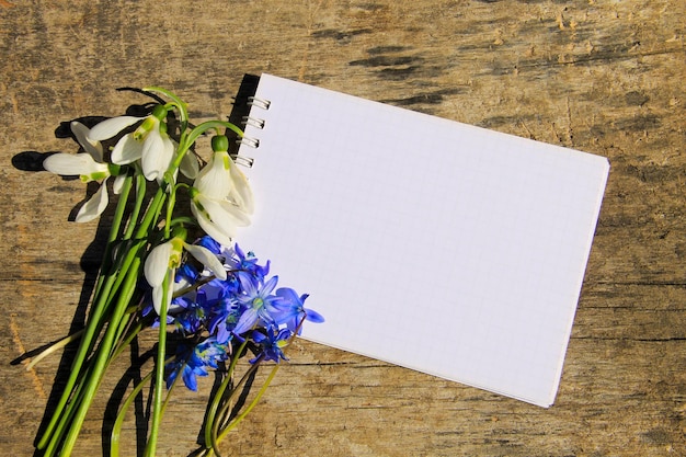 Ramo de primeras flores de primavera y bloc de notas en blanco sobre fondo de madera rústica