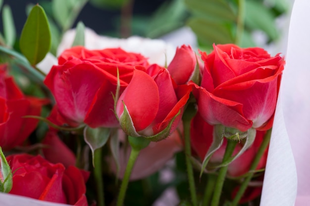 Ramo de regalo con rosas rojas y claveles rosados, hermosas flores para regalar