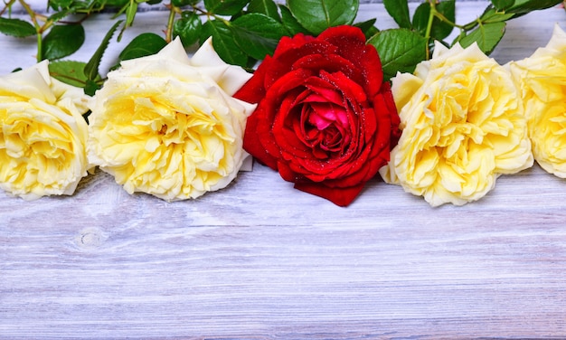 Ramo de rosas amarillas con una rosa roja.