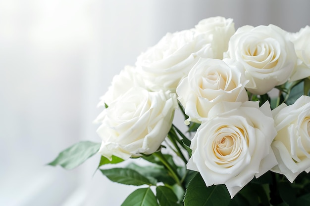 un ramo de rosas blancas