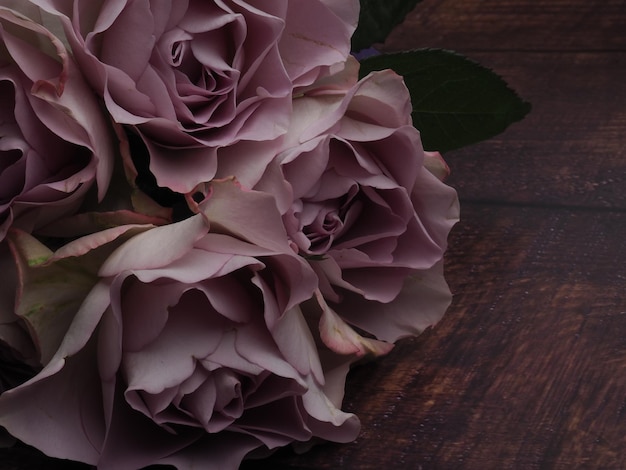 Un ramo de rosas con una hoja verde encima